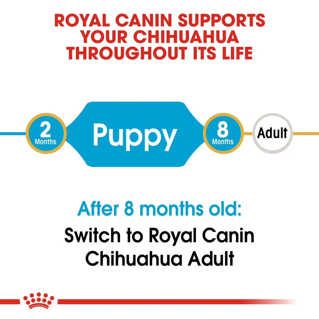 Royal Canin Dry Dog Food for Chihuahua Puppies, 1.5kg