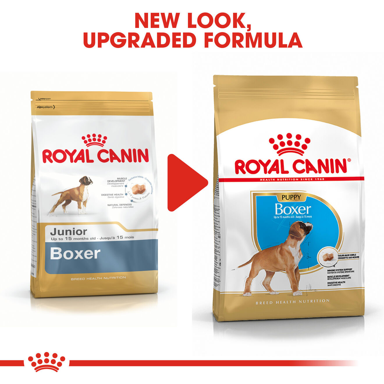 Royal Canin Dry Dog Food for Boxer Puppies