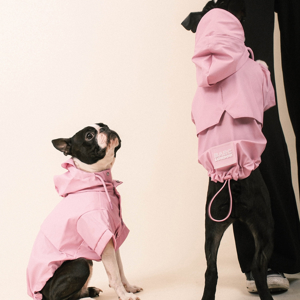 Barc London Pink Waterproof Dog Raincoat