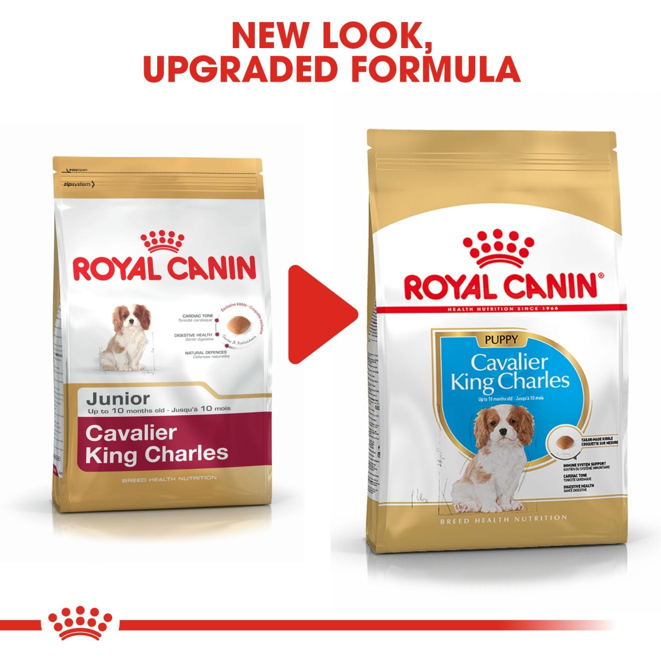Royal Canin Dry Dog Food for Cavalier King Charles Puppies, 1.5kg