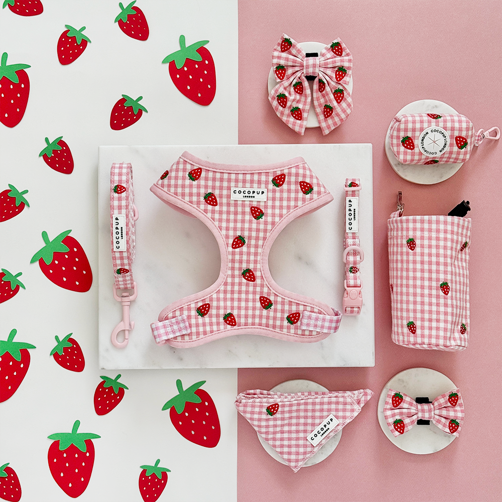 Cocopup Strawberry Picnic Pup Dog Lead