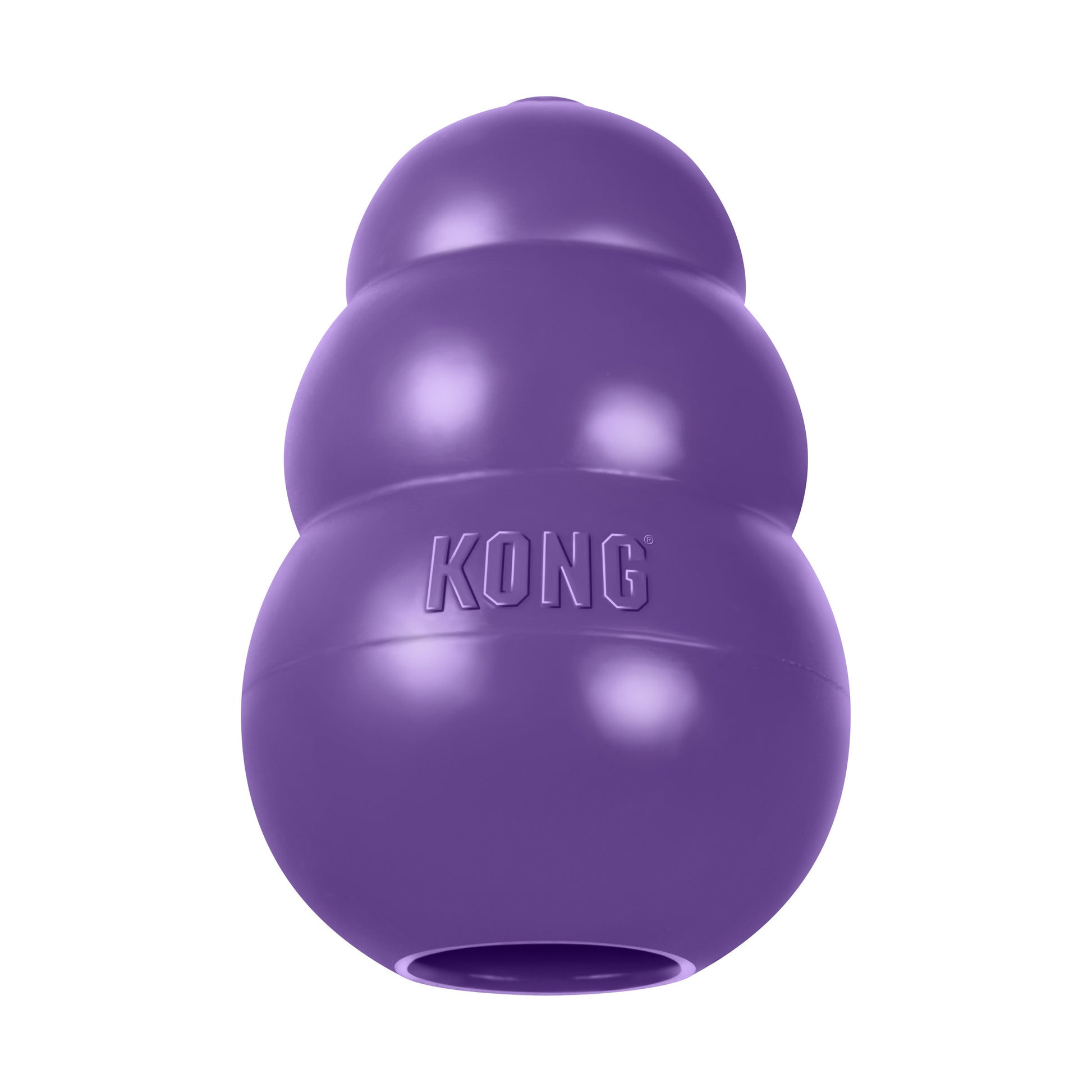Kong Senior Dog Toy