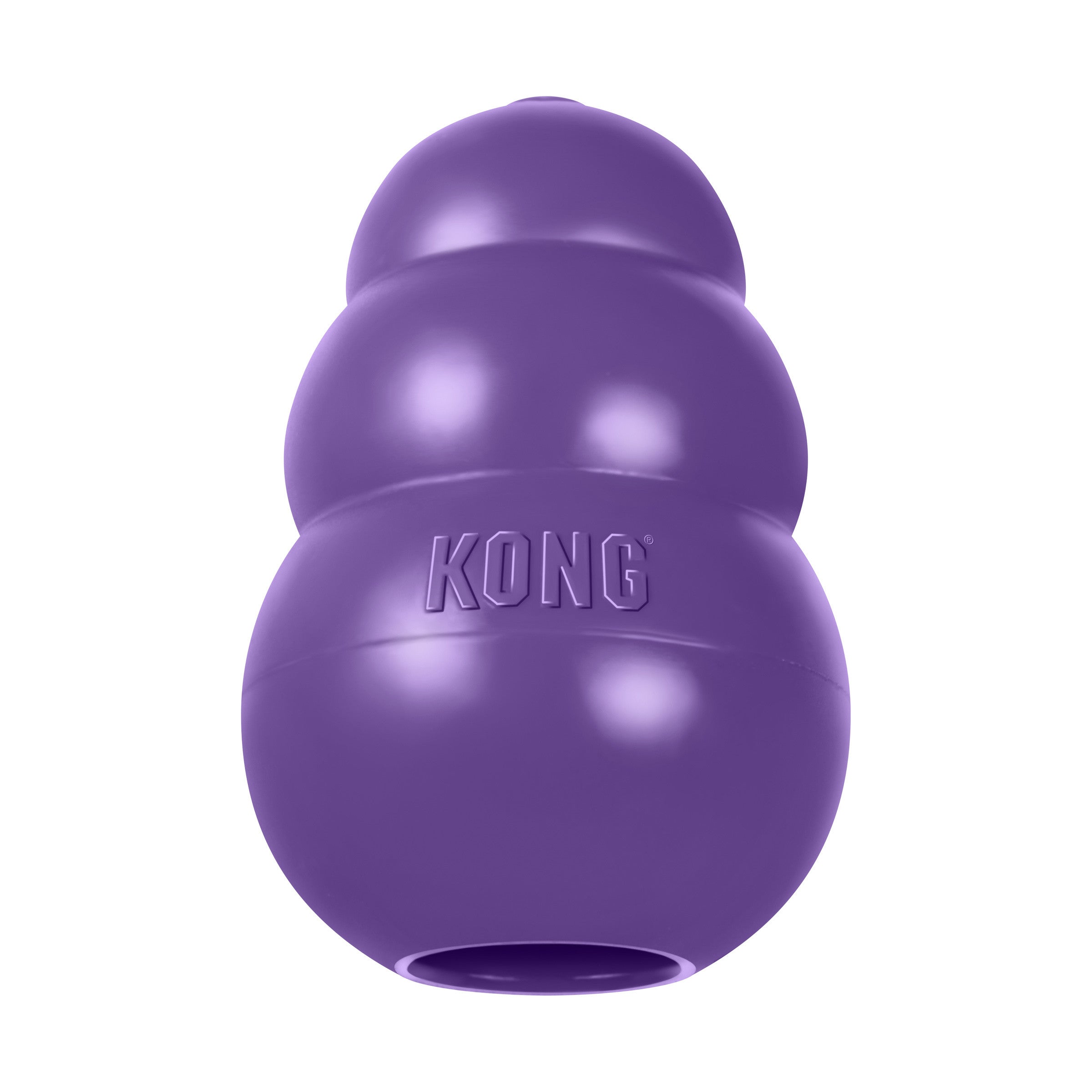 Kong Senior Dog Toy