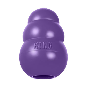 Kong Senior Dog Toy