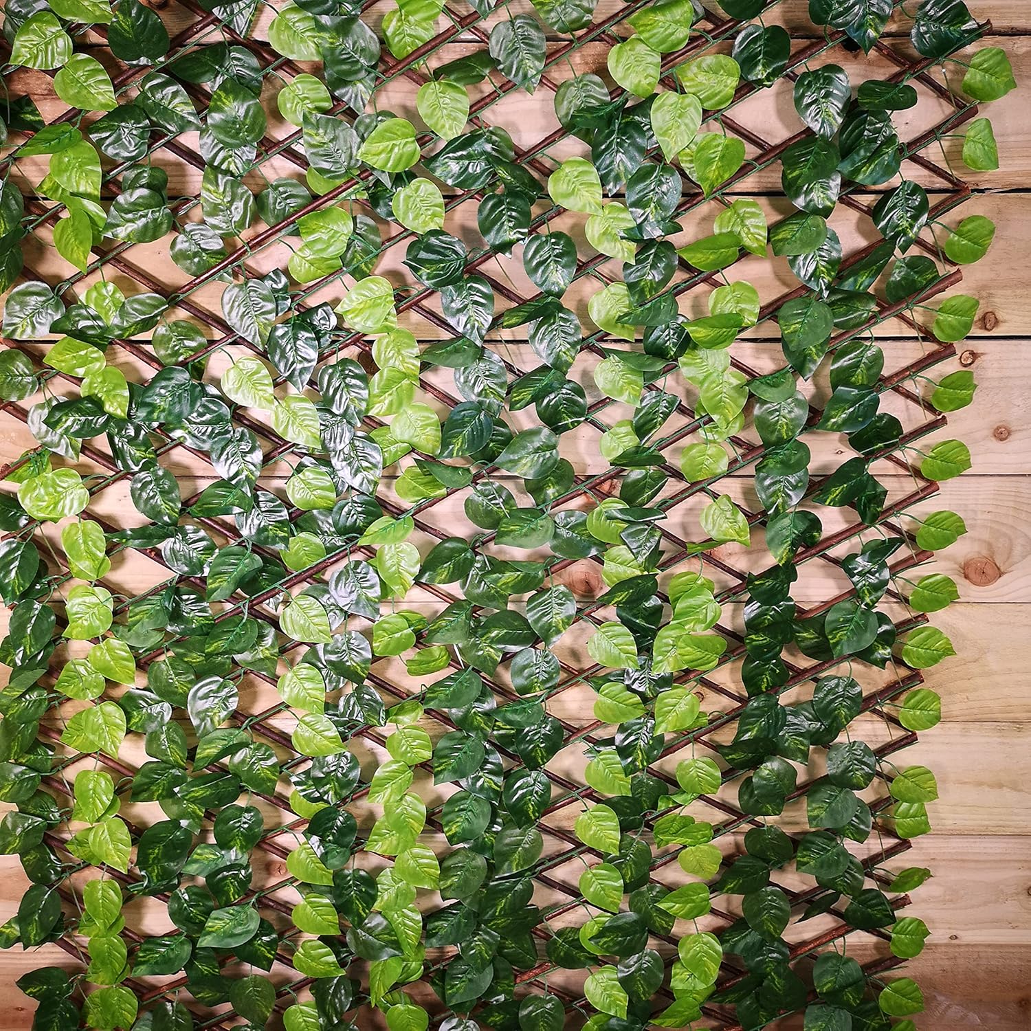Kingfisher Expanding Leaf Trellis