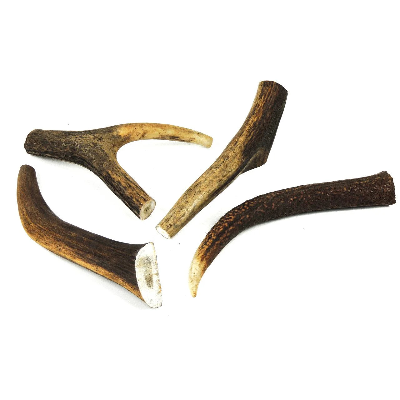 Wild Antler Co Deer Antler Dog Chew