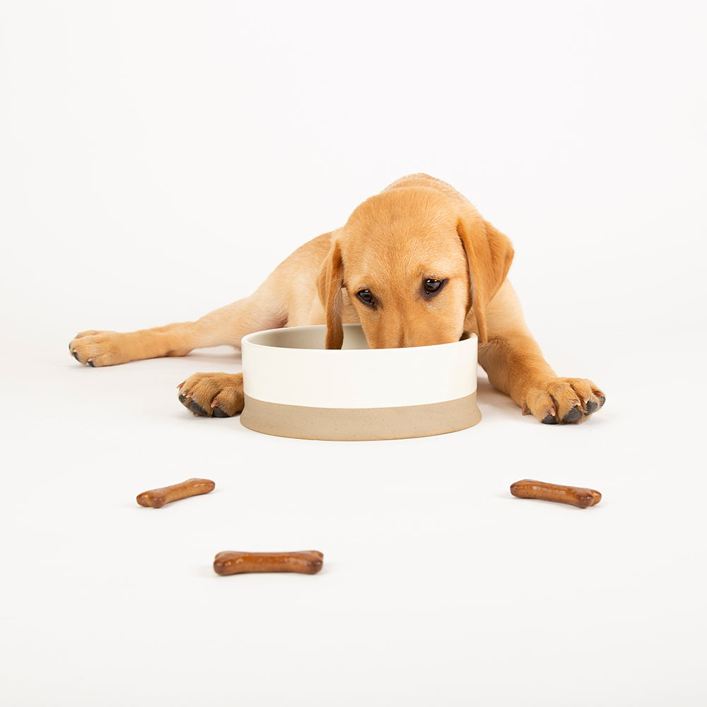 Scruffs Scandi Cream Non Tip Dog Food Bowl, 20cm