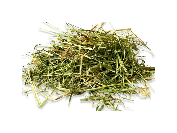 Burgess Excel Long Stem Feeding Hay, 1kg
