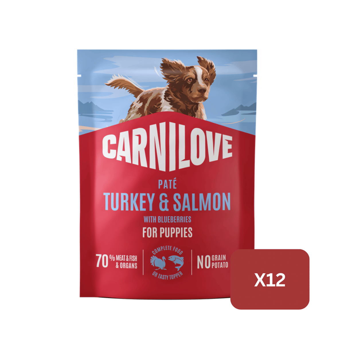 Carnilove Turkey & Salmon with Blueberries Wet Dog Food for Puppies, 300g