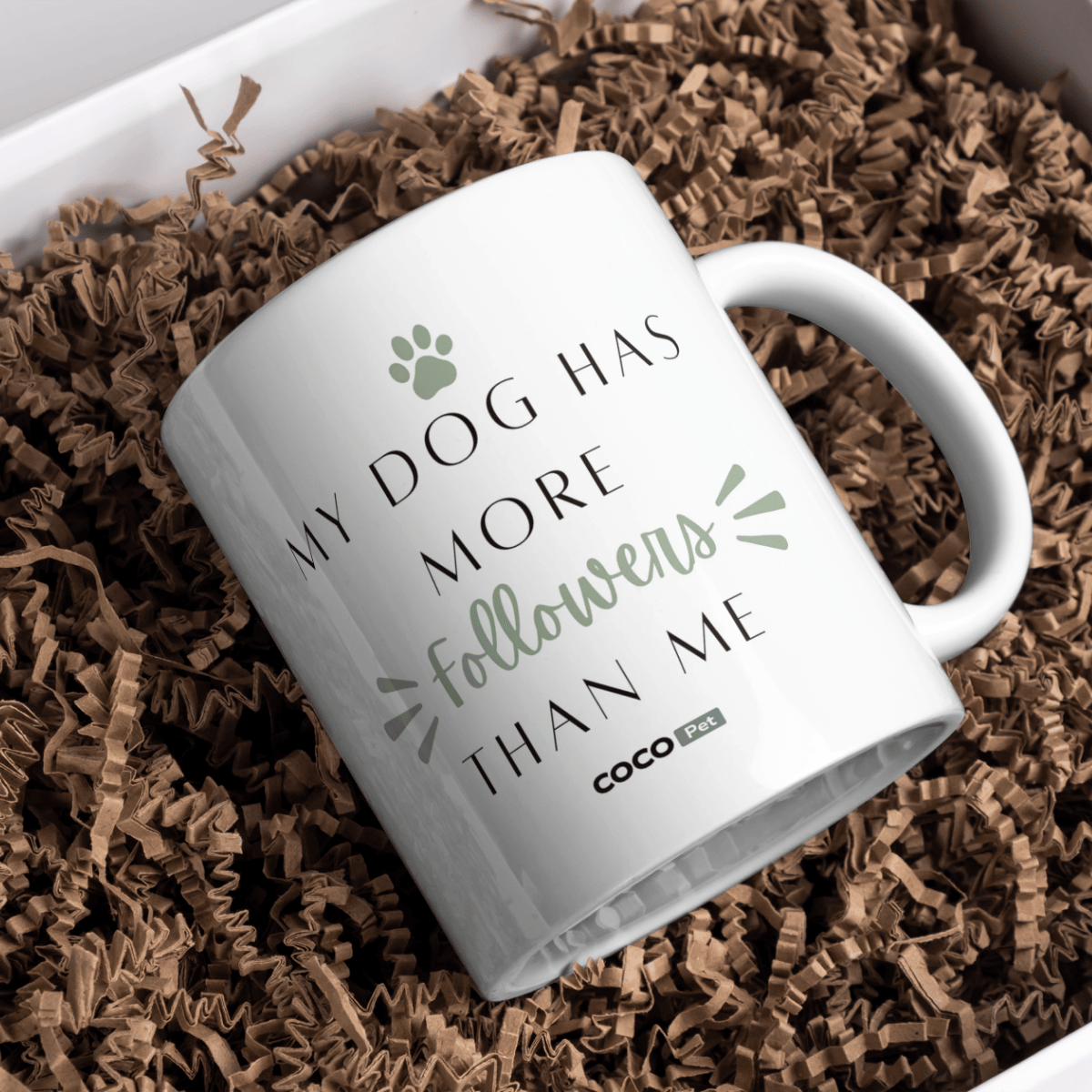 My Dog Has More Followers Than Me Mug