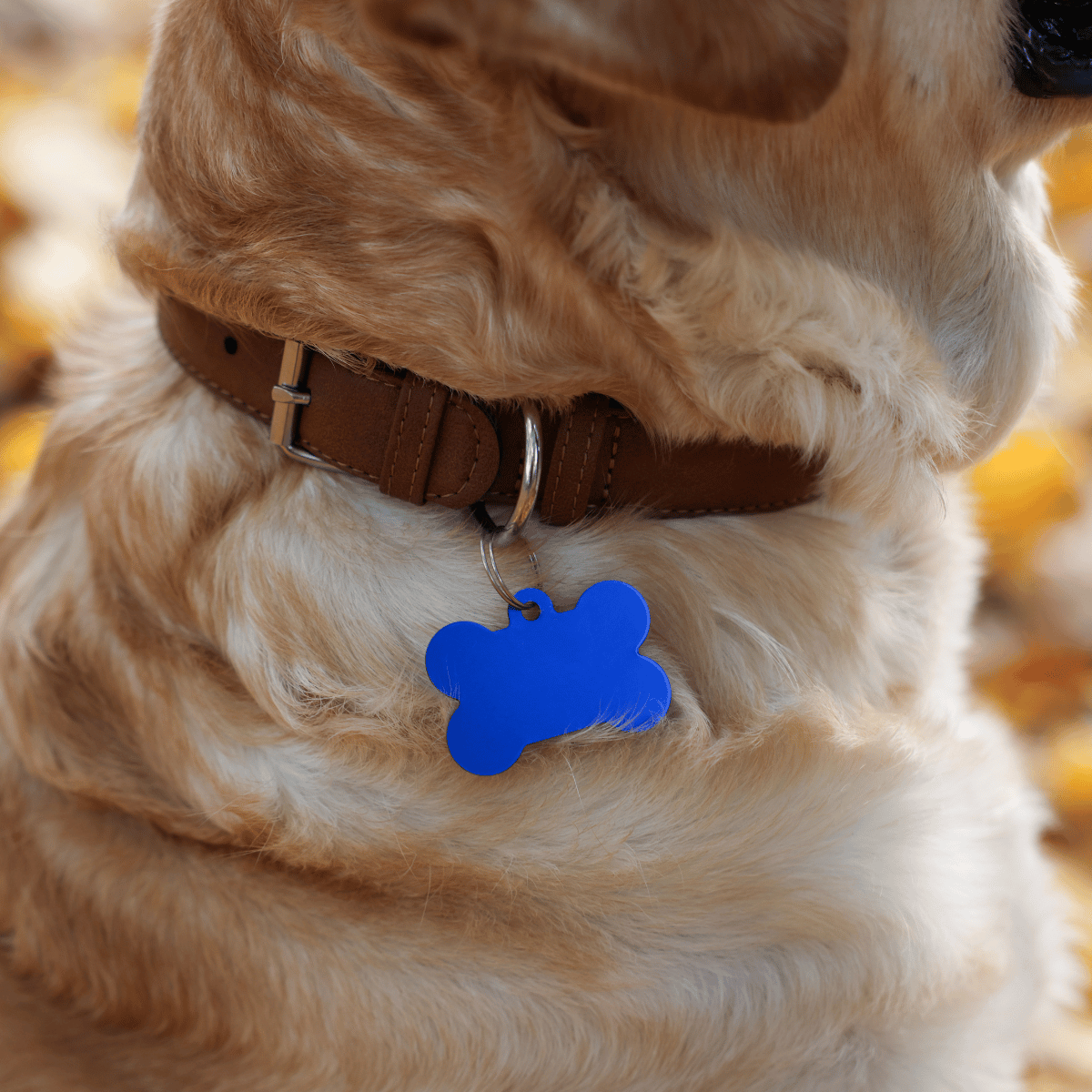 Personalised Bone Shape Dog Tag