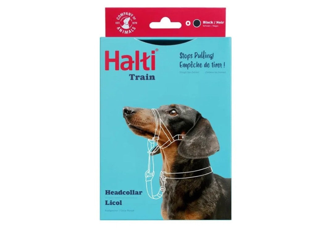 Halti Train Headcollar, Black