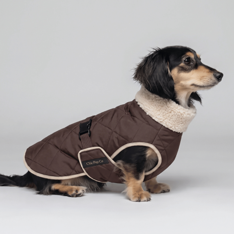 Chic Pup Co Brown Waterproof Sherpa-Lined Dog Coat for Dachshunds