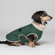Chic Pup Co Green Waterproof Sherpa-Lined Dog Coat for Dachshunds
