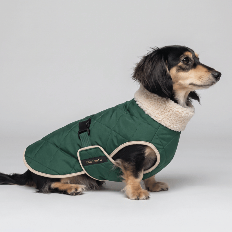 Chic Pup Co Green Waterproof Sherpa-Lined Dog Coat for Dachshunds