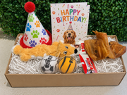 Birthday gift box for a dog with toys, a card, and a party hat.