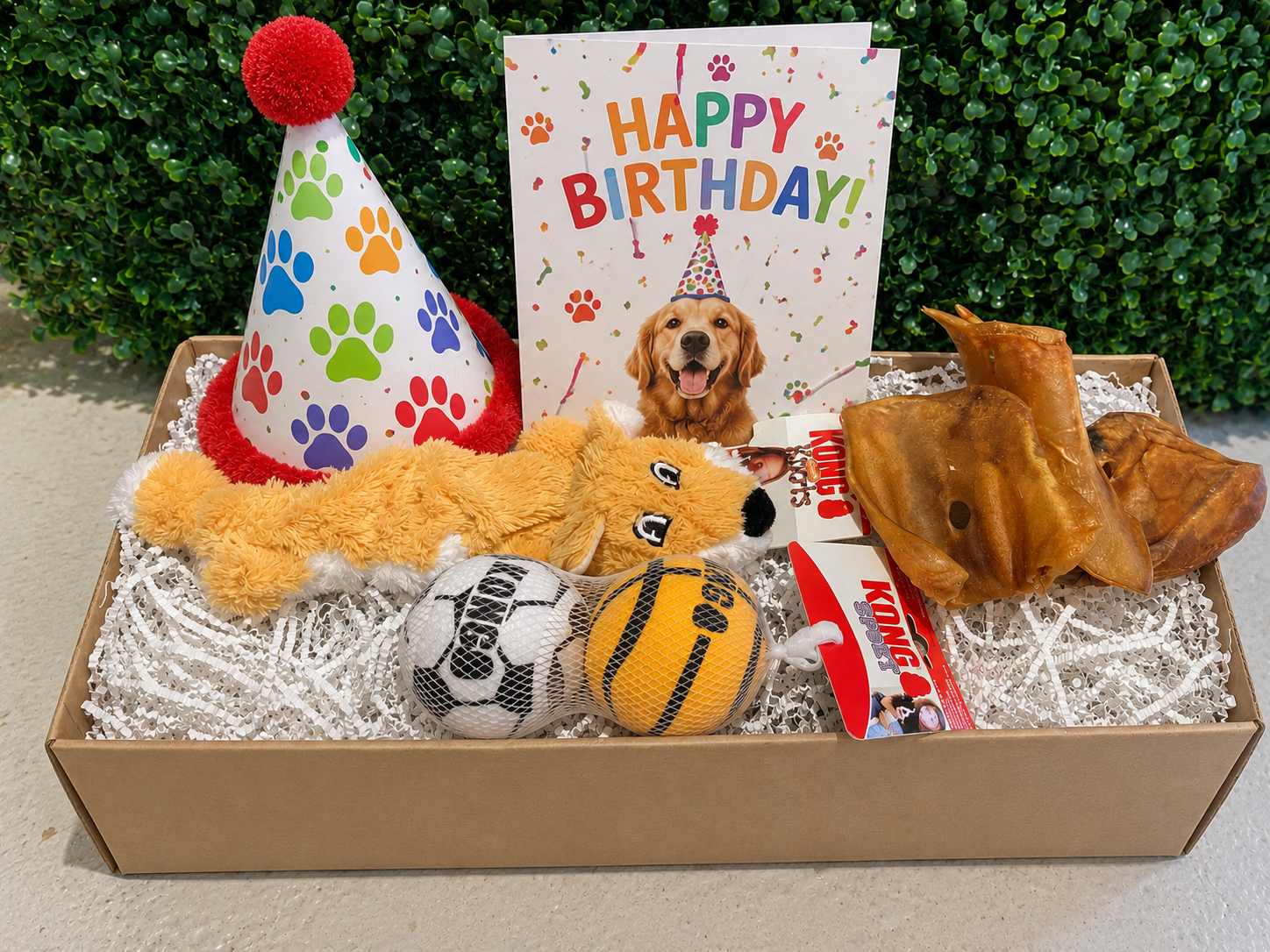 Birthday gift box for a dog with toys, a card, and a party hat.