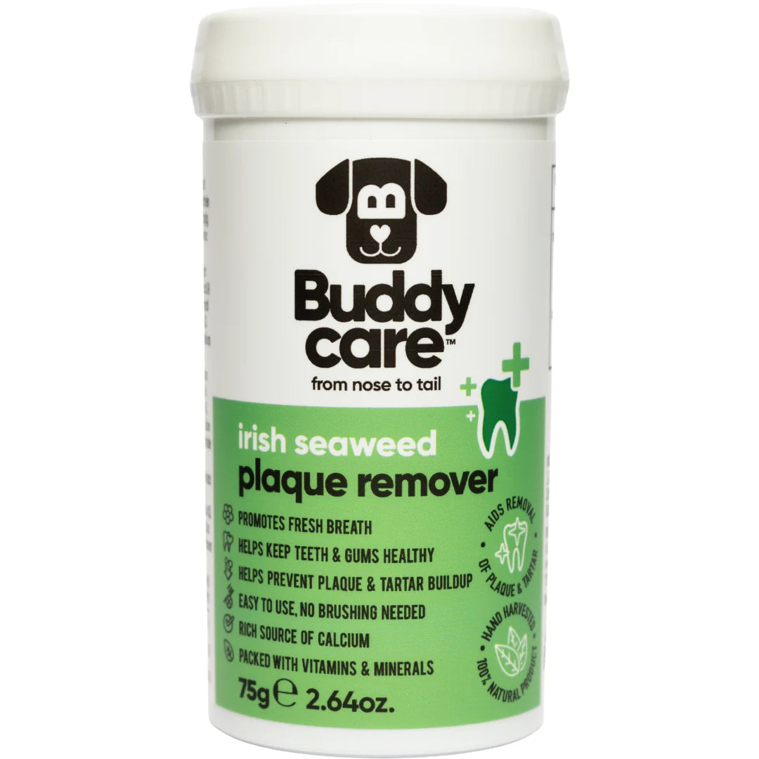 Buddycare Irish Seaweed Plaque Remover, 75g