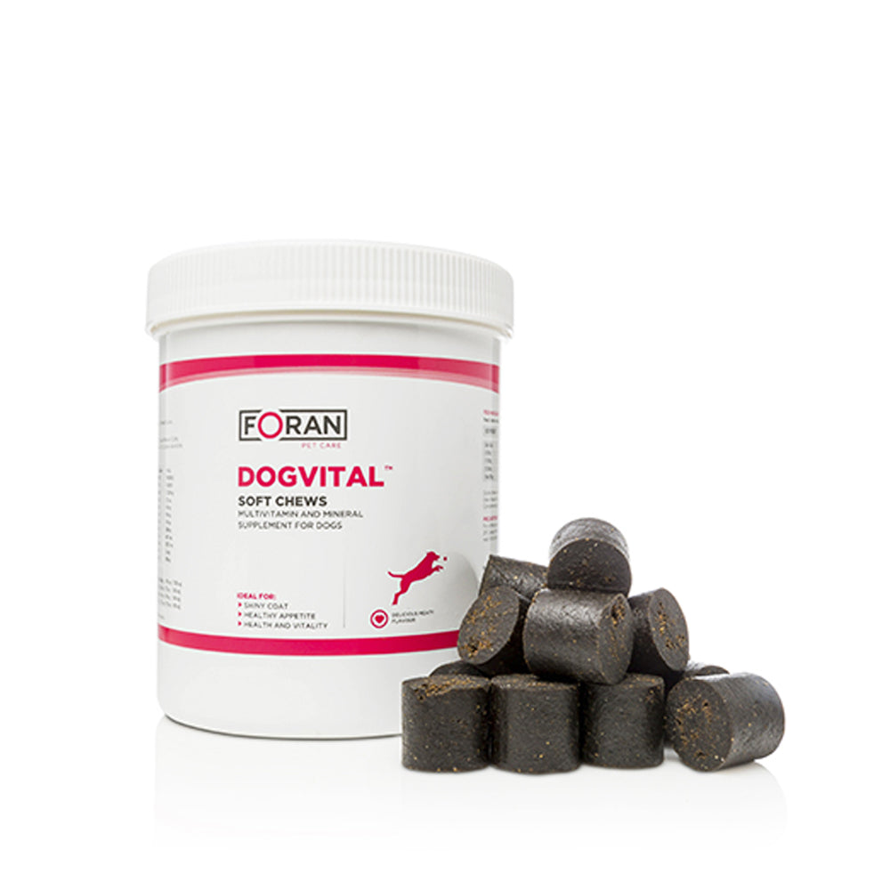 Foran Dogvital Multivitamin & Mineral Supplement for Dogs