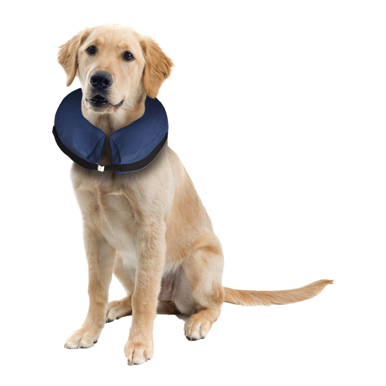 Flamingo Inflatable Protective Dog Collar
