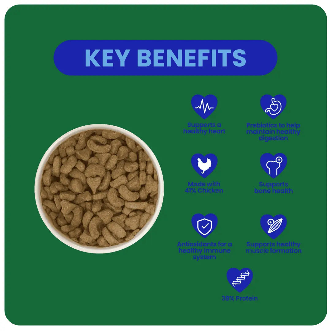 Burgess Excel Ferret Nuggets, 2kg
