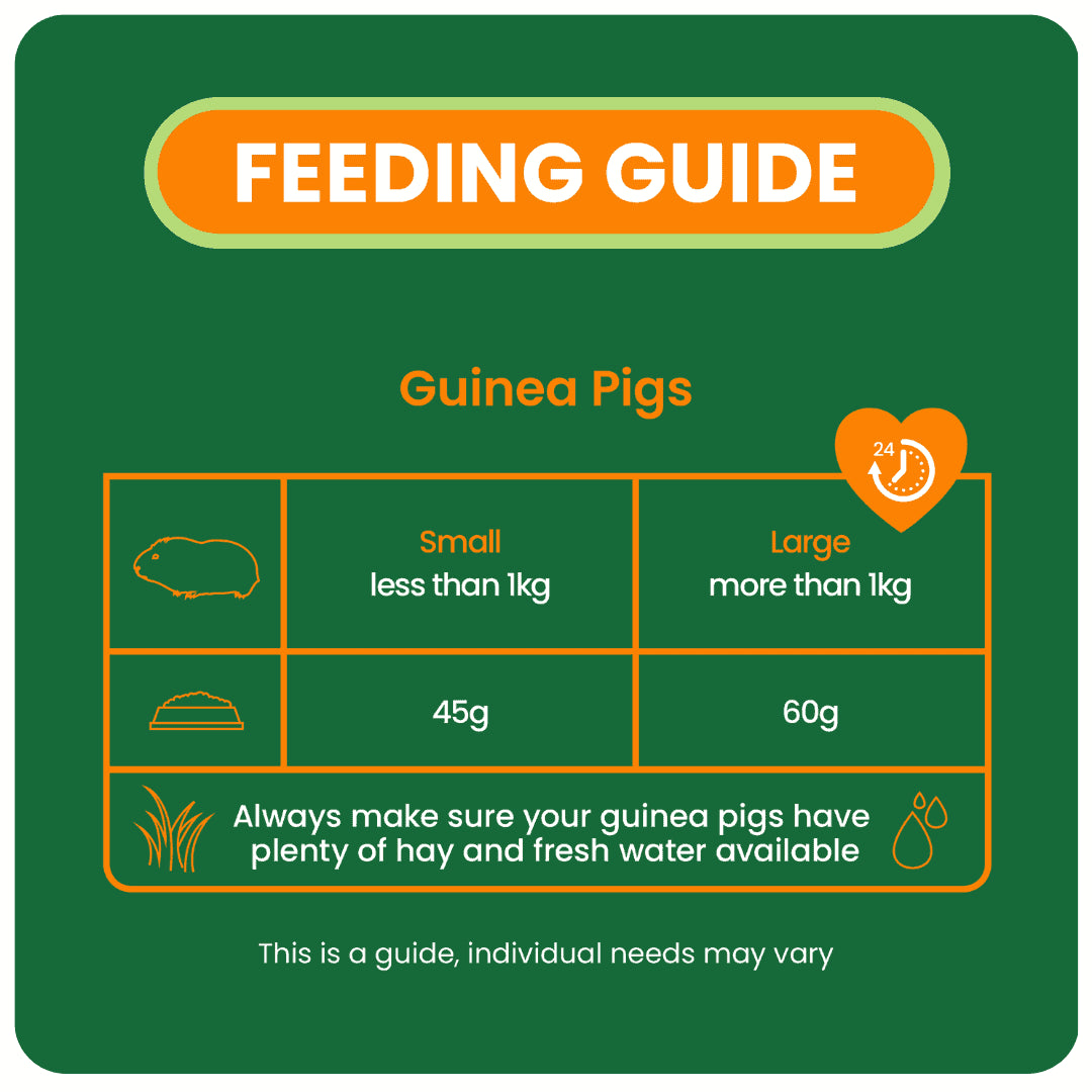 Burgess Excel Guinea Pig Nuggets with Mint, 1.5kg