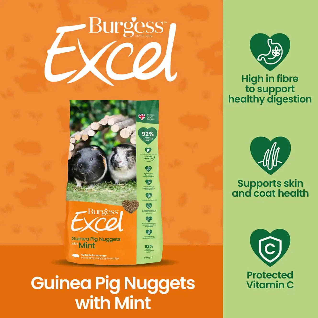 Burgess Excel Guinea Pig Nuggets with Mint, 1.5kg
