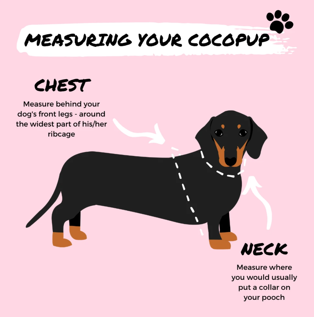 Cocopup Teddy Paddington Adjustable Neck Dog Harness