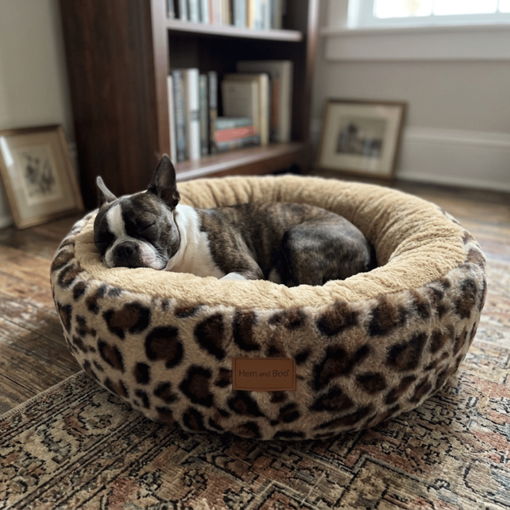 Hem & Boo Leopard Print Circular Dog Bed
