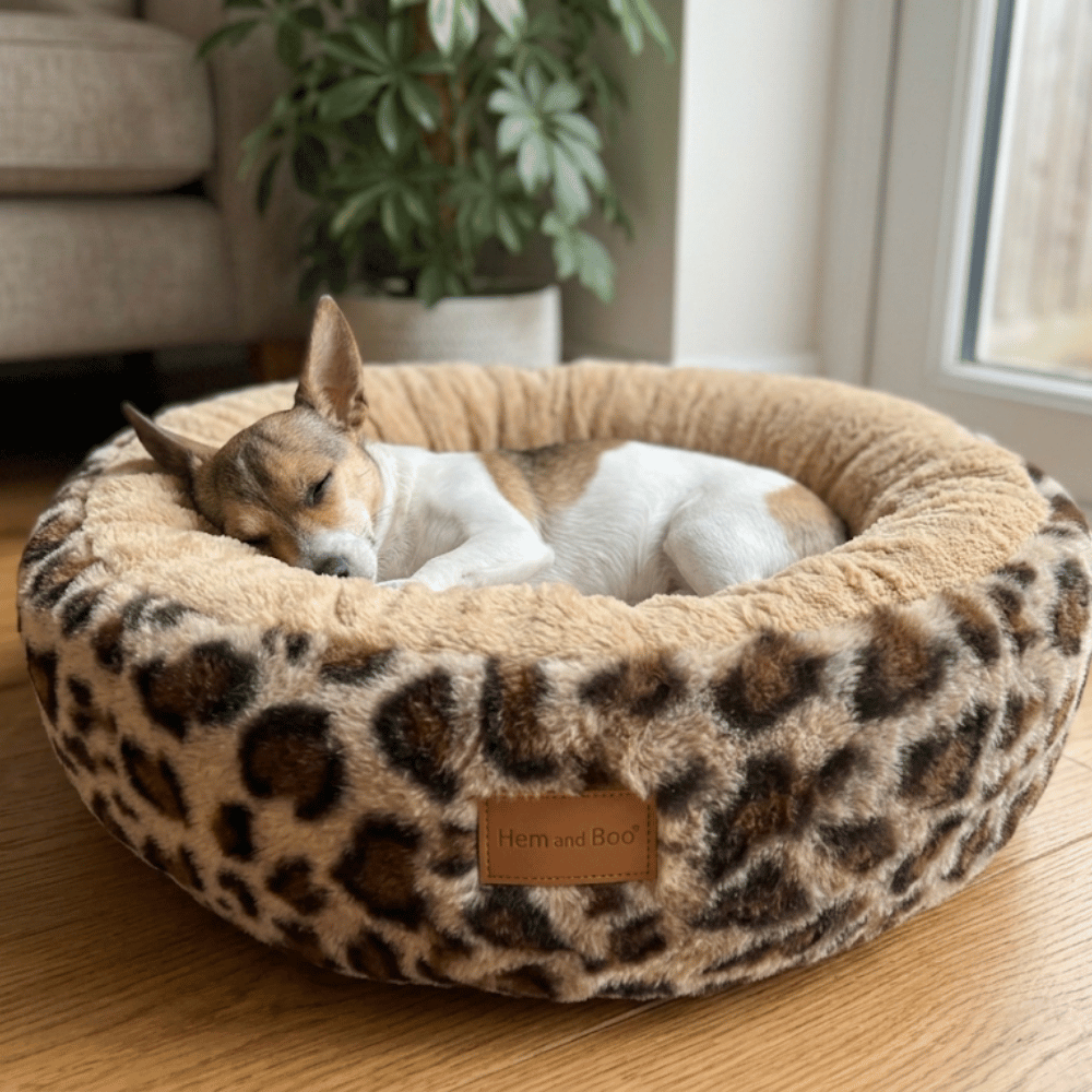 Hem & Boo Leopard Print Circular Dog Bed