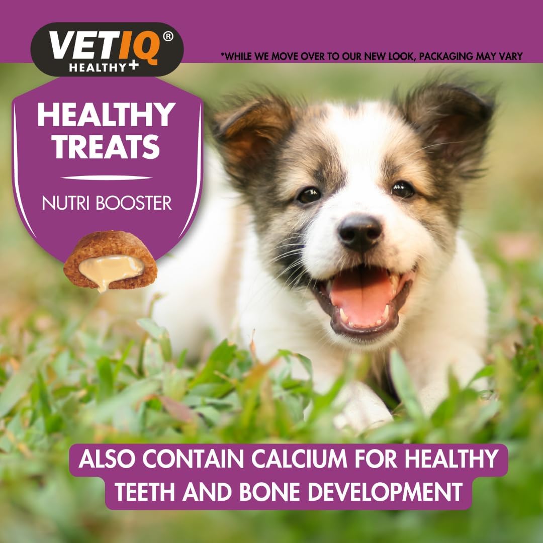 VetIQ Healthy Treats Nutri Booster Puppy Treats, 50g