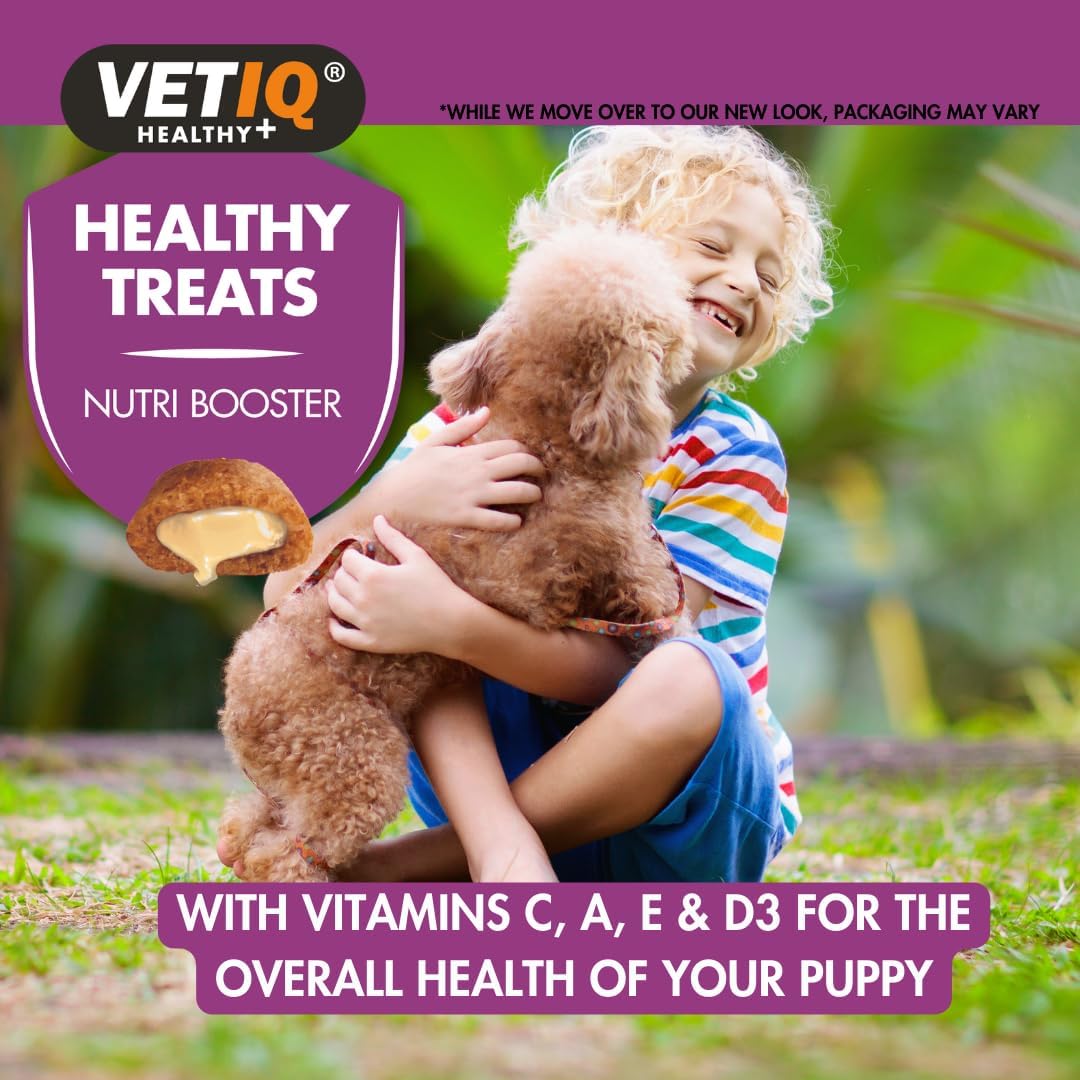 VetIQ Healthy Treats Nutri Booster Puppy Treats, 50g