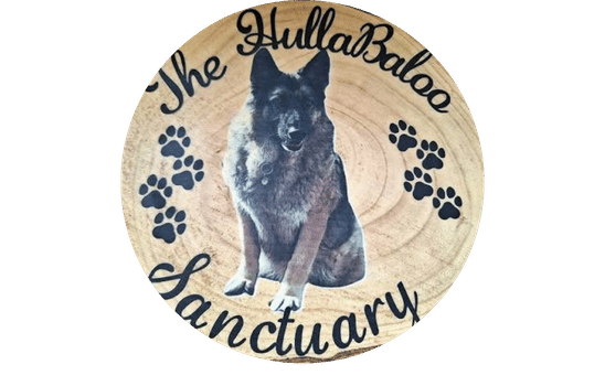The Hullabaloo Sanctuary