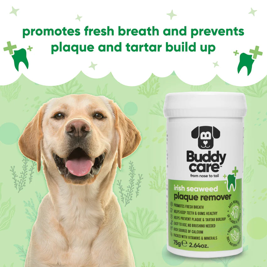 Buddycare Irish Seaweed Plaque Remover, 75g