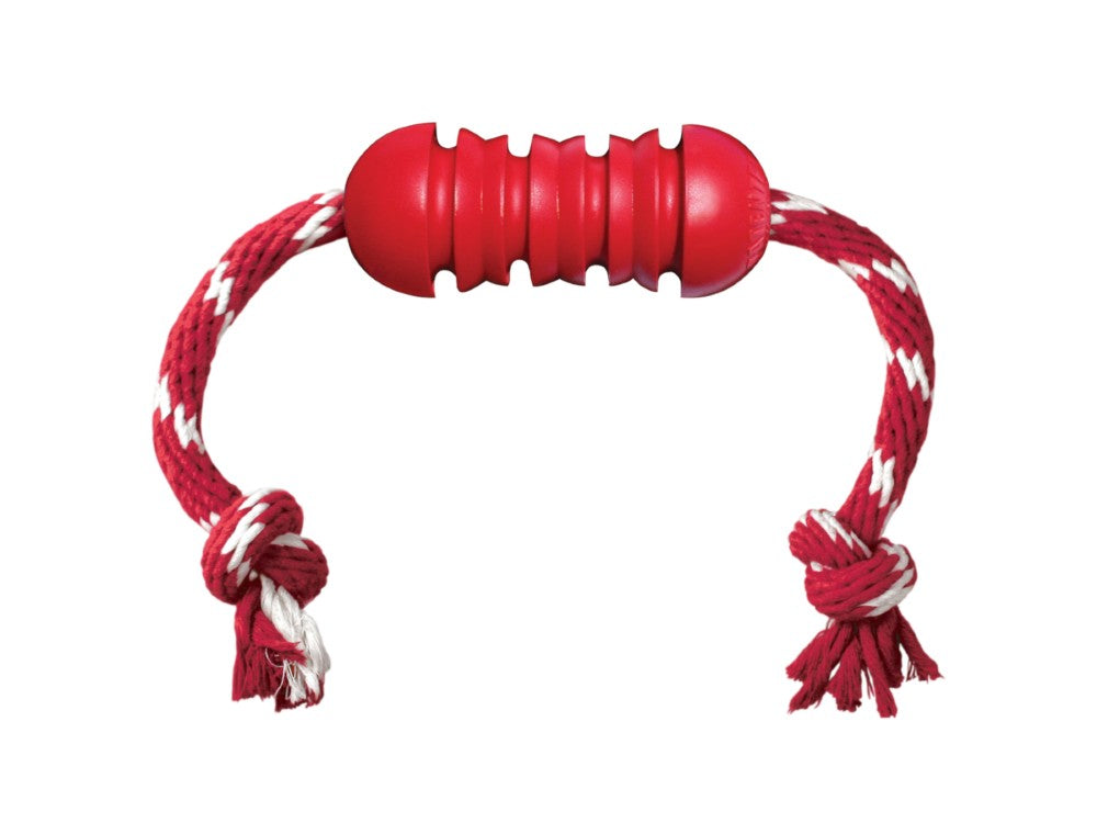 Red Dental Toy
