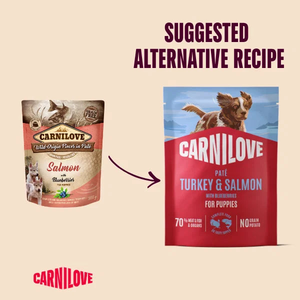 Carnilove Turkey & Salmon with Blueberries Wet Dog Food for Puppies, 300g