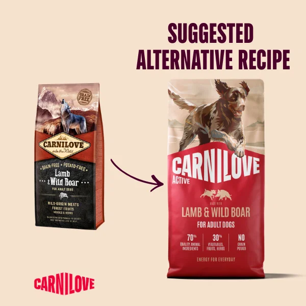 Carnilove Lamb & Wild Boar Dry Dog Food for Adult Dogs
