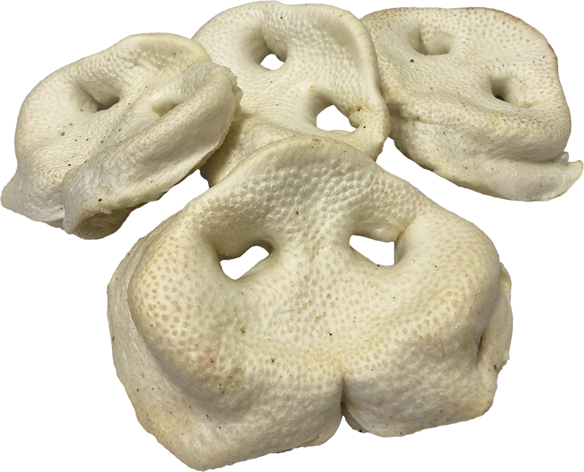 Tip Top Animal White Pig Snouts Dog Treat
