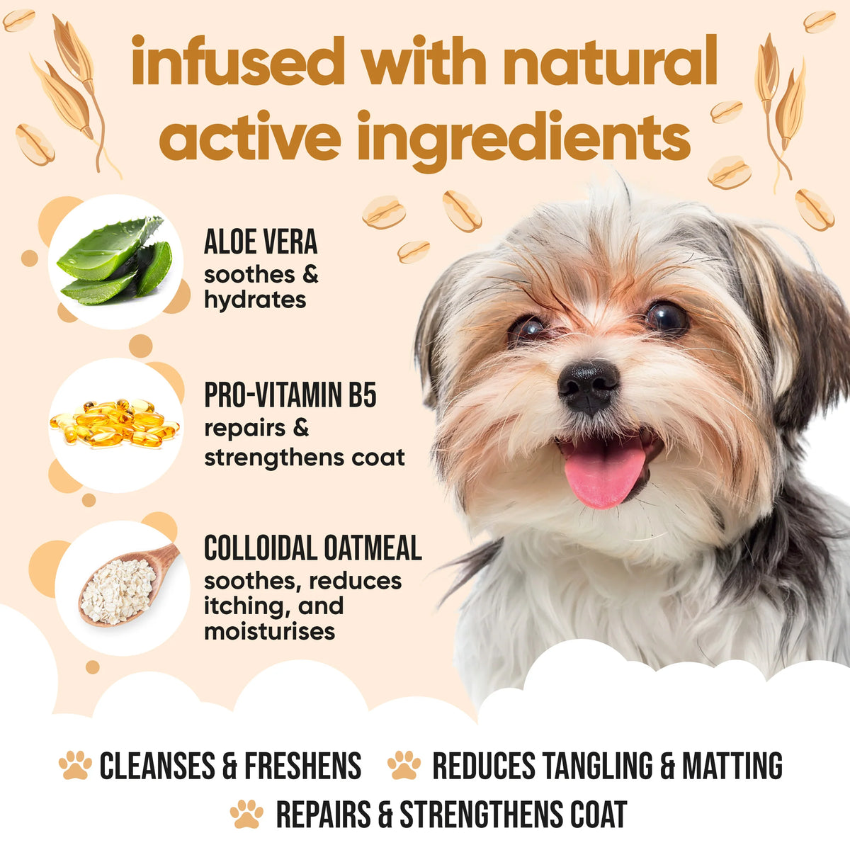 Buddycare Oatmeal Dog Shampoo, 500ml