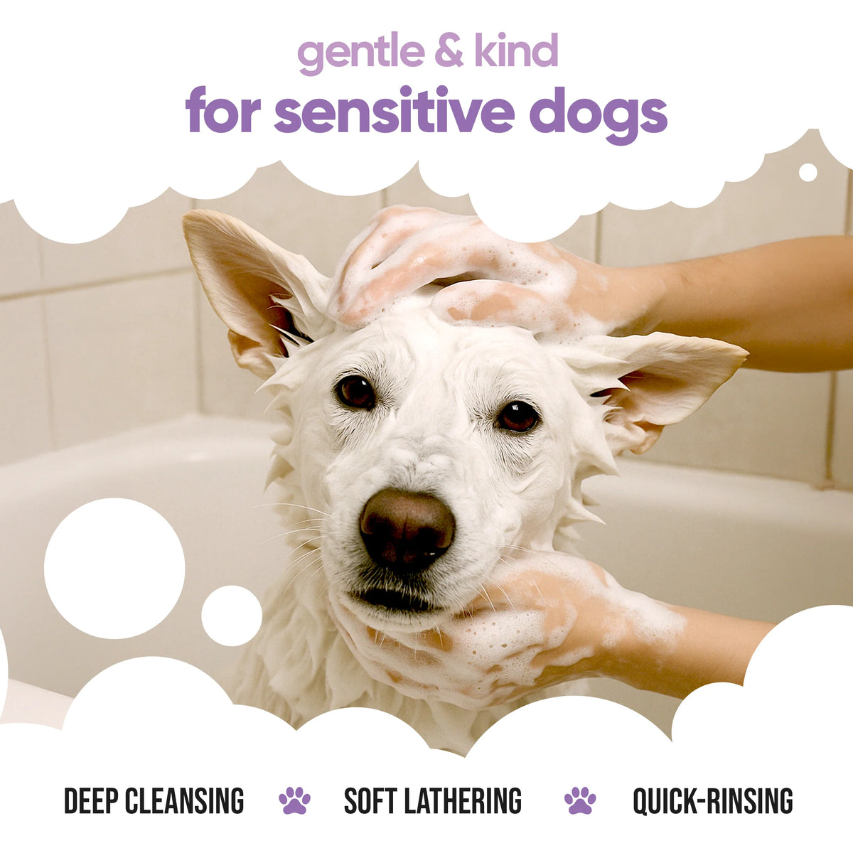 Buddycare White Dog Shampoo, 500ml
