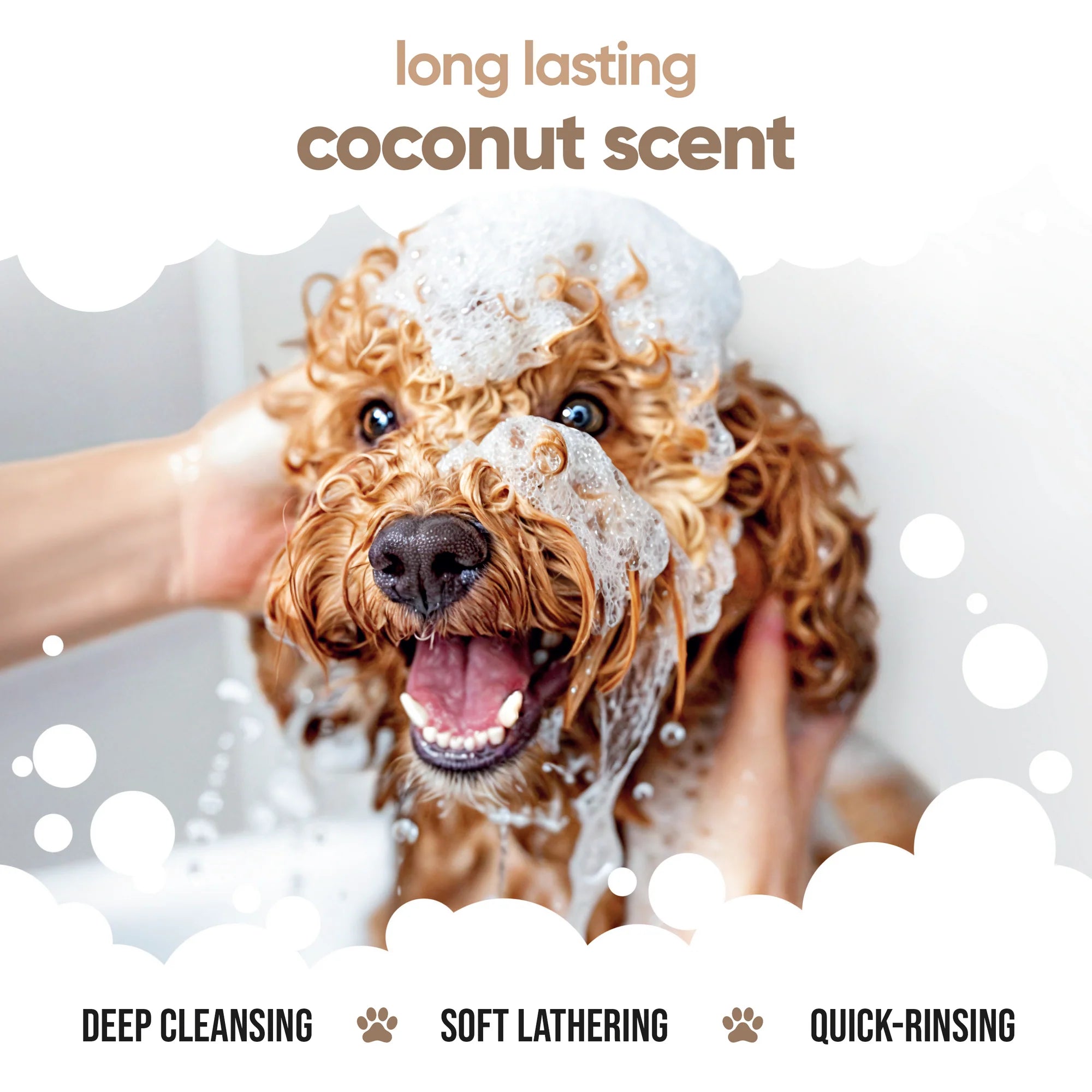 Buddycare 2in1 Dog Shampoo & Conditioner, 500ml