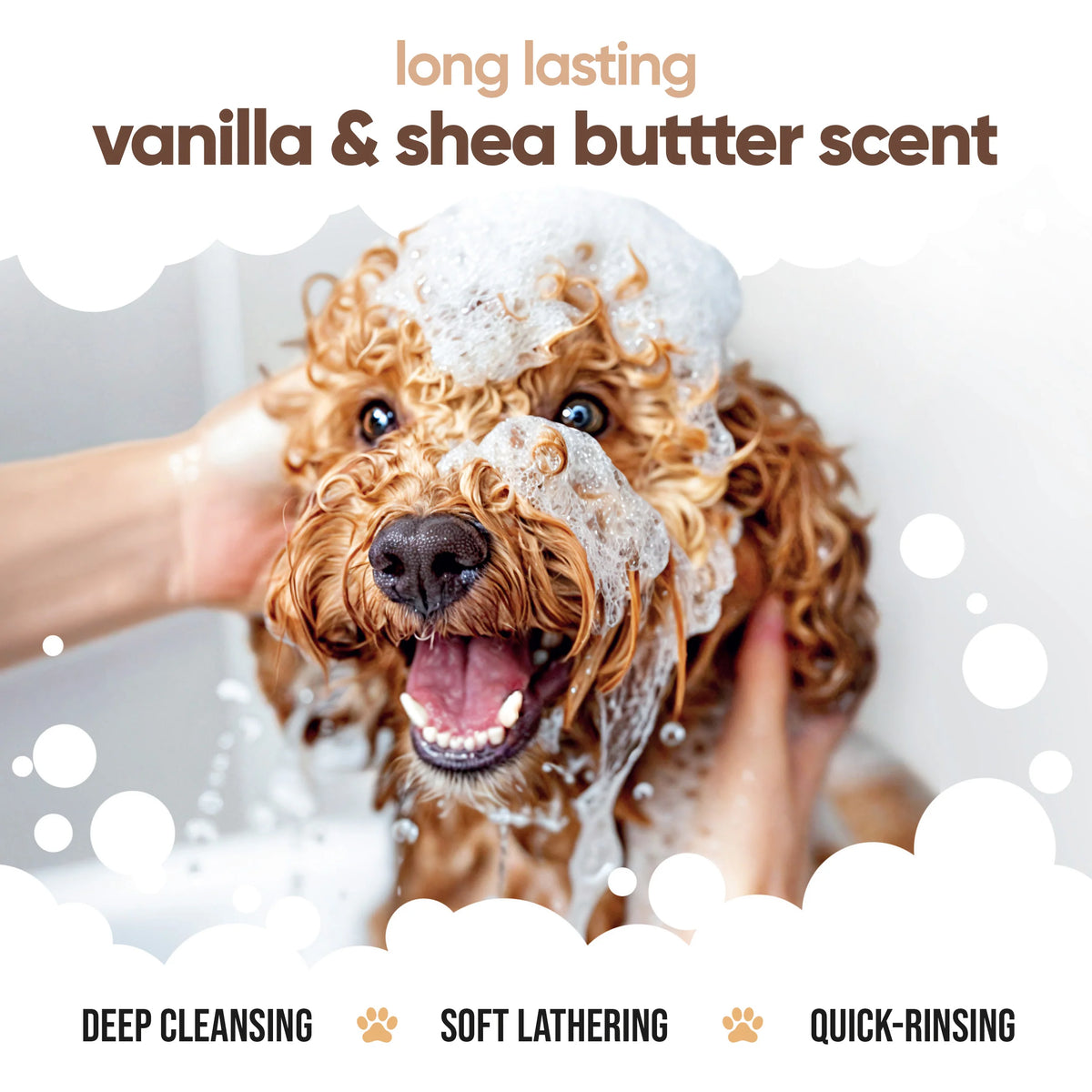 Buddycare Vanilla & Shea Butter Dog Shampoo, 500ml