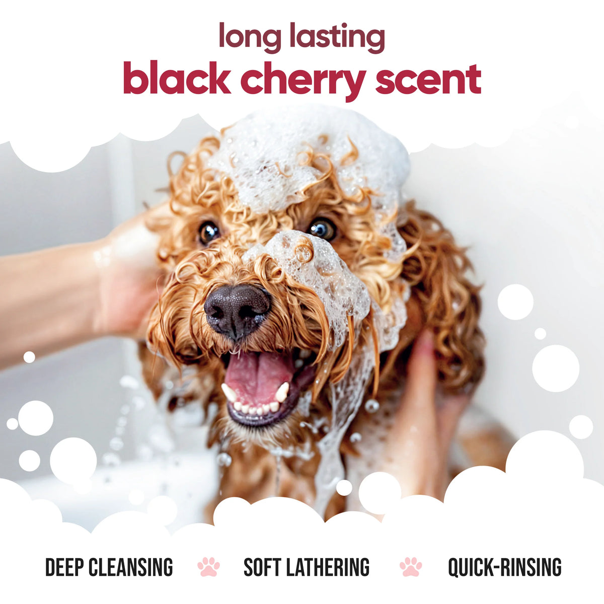 Buddycare Black Cherry Dog Shampoo, 500ml