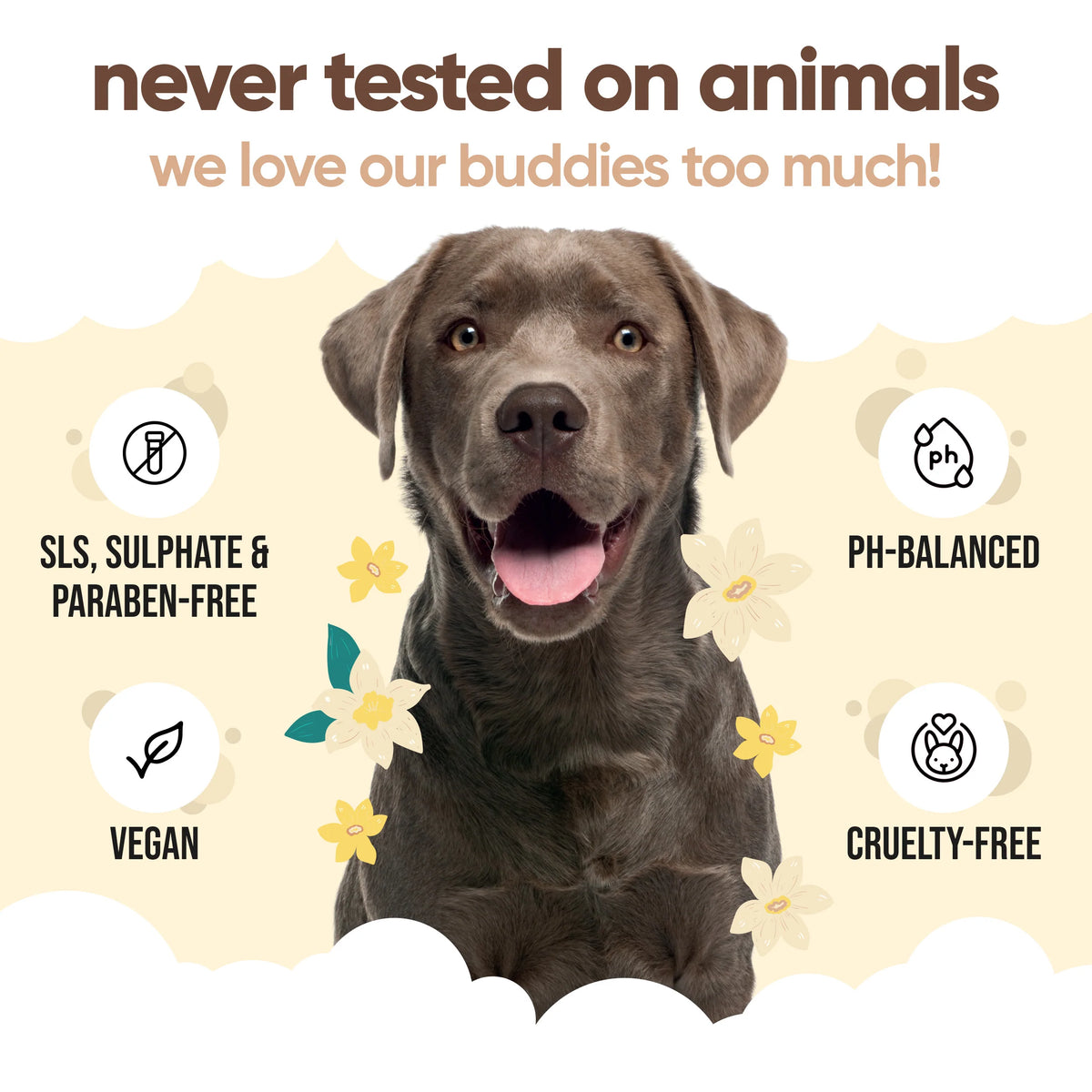 Buddycare Vanilla & Shea Butter Dog Shampoo, 500ml