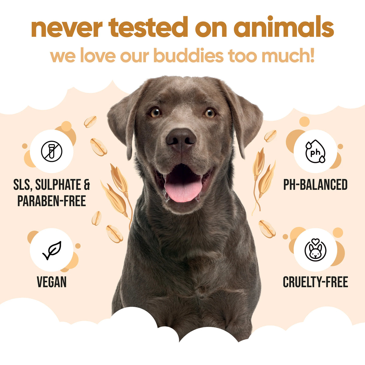Buddycare Oatmeal Dog Shampoo, 500ml