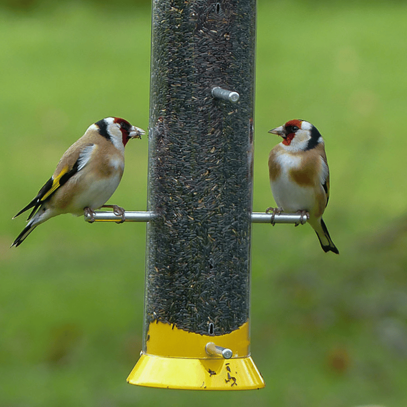 Hadley Niger Seed for Wild Birds, 25kg