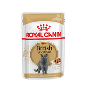 Royal Canin Wet Cat Food Chunks In Gravy for Adult British Shorthair Cats, 85g