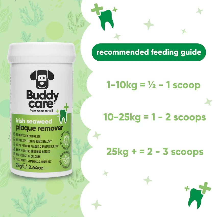 Buddycare Irish Seaweed Plaque Remover, 75g