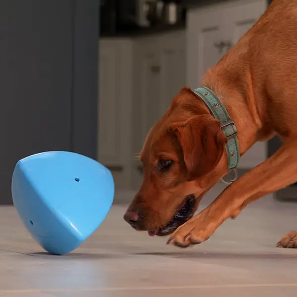 Roolo Interactive Treat Dispenser Dog Toy