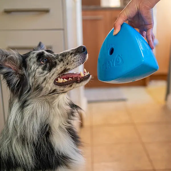 Roolo Interactive Treat Dispenser Dog Toy